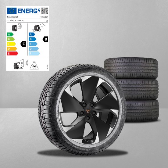 Original Winterräder CUPRA Born 19" - Altenburg Garage 1