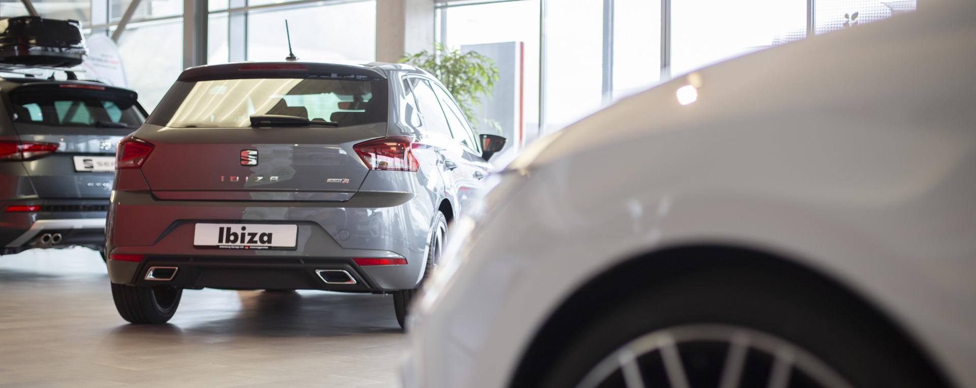 Vorlauffahrzeuge - Altenburg-Garage AG - Cupra, Mitsubishi, Seat, Suzuki, VW Service im Aargau