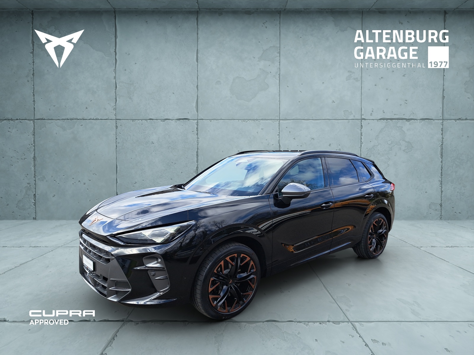 [Titel] - Altenburg-Garage AG - Cupra, Mitsubishi, Seat, Suzuki, VW Service im Aargau 120