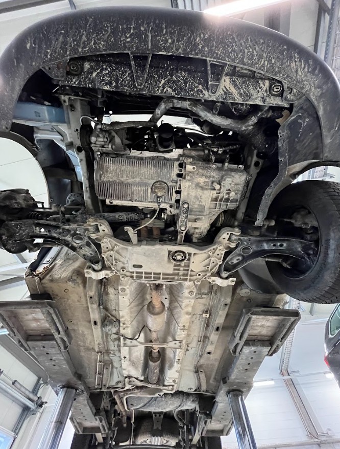 Professionelle Entsalzung nach dem Winter