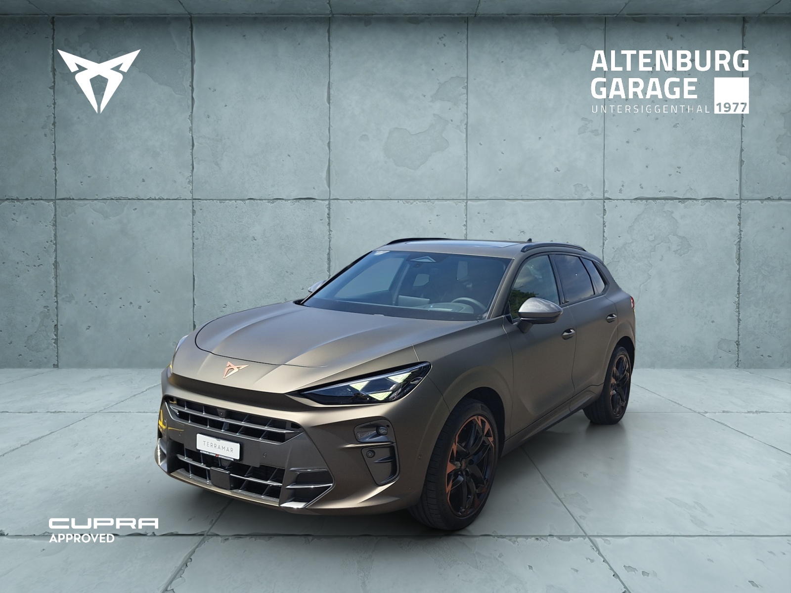 [Titel] - Altenburg-Garage AG - Cupra, Mitsubishi, Seat, Suzuki, VW Service im Aargau 298